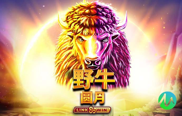 k体育官网登录